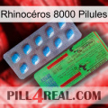 Rhinocéros 8000 Pilules new03